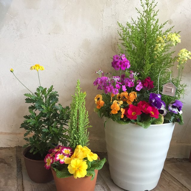 春の寄せ植え ピックつき Minne 日本最大級のハンドメイド 手作り通販サイト 春の寄せ植え ピックつき Minne 日本最大級のハンドメイド 手作り通販サイト