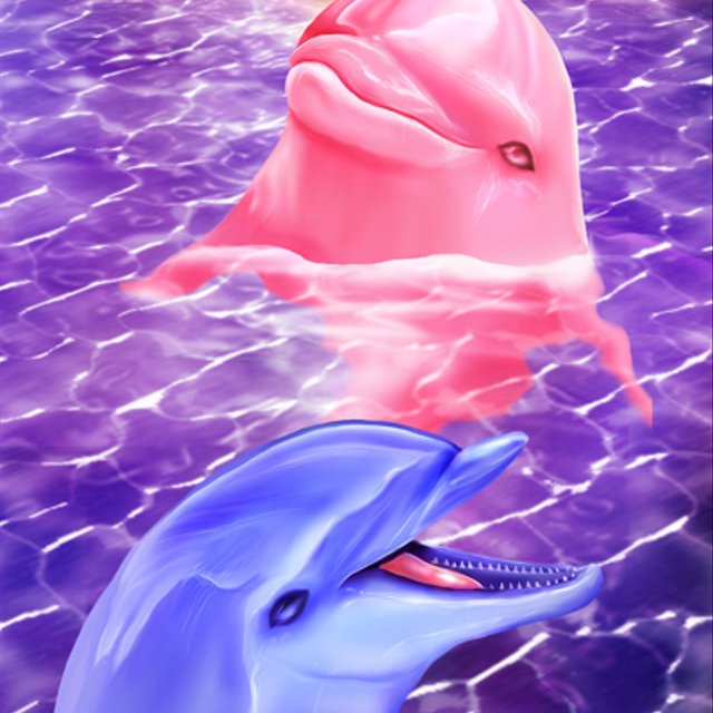 恋人イルカのポストカードセット Minne 日本最大級のハンドメイド 手作り通販サイト
