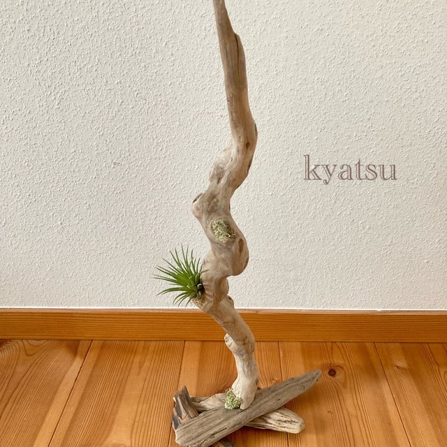 ファッション小物・ストライプストール・ストール・縞模様 美しい造形