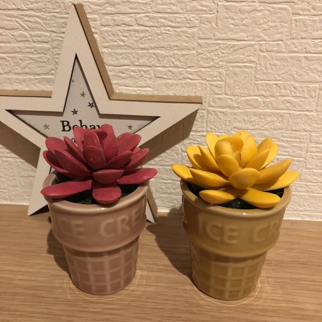 アイスクリームポット セット 多肉植物 観葉植物 北欧 ブルックリン インテリア Minne 日本最大級のハンドメイド 手作り通販サイト アイスクリームポット セット 多肉植物 観葉植物 北欧 ブルックリン インテリア Minne 日本最大級のハンドメイド 手作り通販サイト