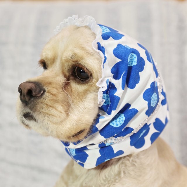 中型犬用 スヌード 花柄 青 Minne 日本最大級のハンドメイド 手作り通販サイト 中型犬用 スヌード 花柄 青 Minne 日本最大級のハンドメイド 手作り通販サイト