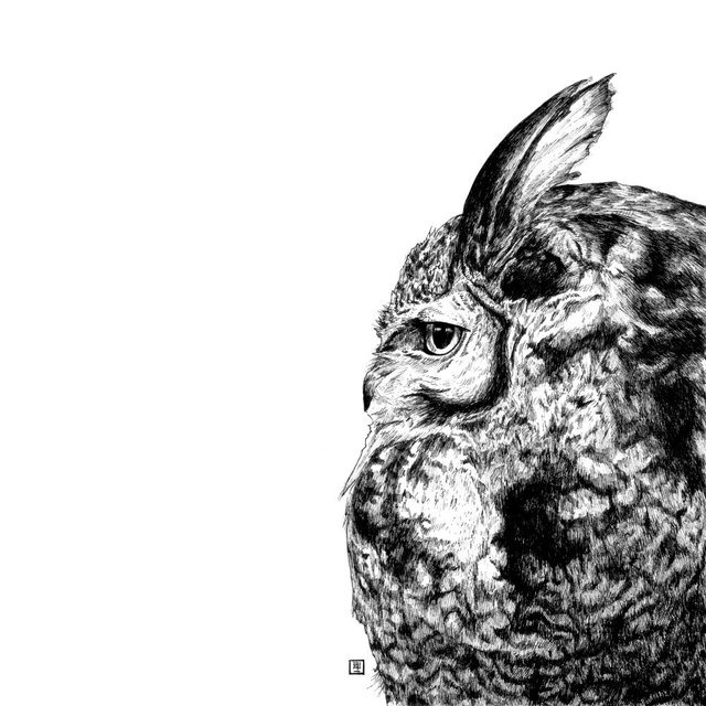 ミニタオル フクロウ ミミズク Minne 日本最大級のハンドメイド 手作り通販サイト ミニタオル フクロウ ミミズク Minne 日本最大級のハンドメイド 手作り通販サイト