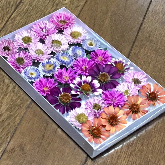 お花屋さんが作ったポンポンアスターのドライフラワー ハンドメイドマーケット Minne お花屋さんが作ったポンポンアスターのドライフラワー ハンドメイドマーケット Minne