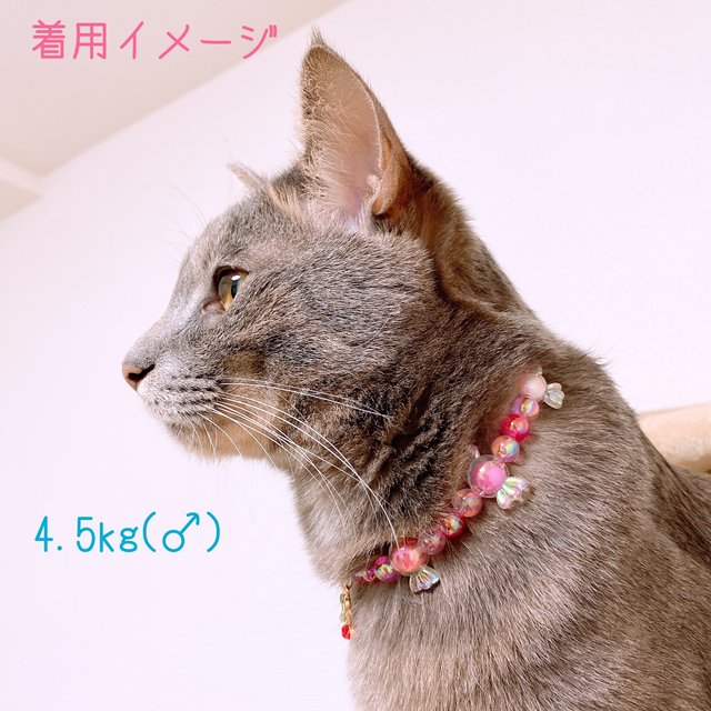 猫の首輪 キャンディービーズ ネックレス首輪 さくらんぼチャーム Minne 日本最大級のハンドメイド 手作り通販サイト 猫の首輪 キャンディービーズ ネックレス首輪 さくらんぼチャーム Minne 日本最大級のハンドメイド 手作り通販サイト
