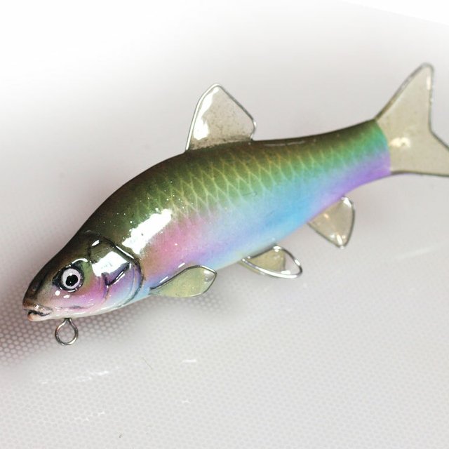 ホールフィッシュストラップ クチボソ 魚のアクセサリー ハンドメイドマーケット Minne ホールフィッシュストラップ クチボソ 魚のアクセサリー ハンドメイドマーケット Minne