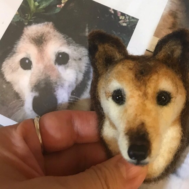 チャンピオン 羊毛フェルト 犬 オーダー募集中 激安ブランド チャンピオン 羊毛フェルト 犬 オーダー募集中 激安ブランド