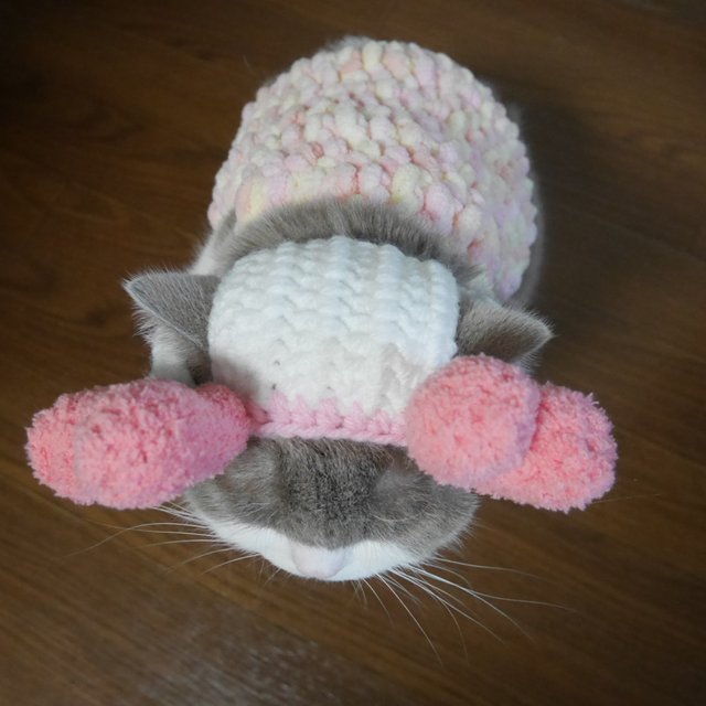 ダブルハート 猫用帽子 犬用帽子 ハンドメイドマーケット Minne ダブルハート 猫用帽子 犬用帽子 ハンドメイドマーケット Minne