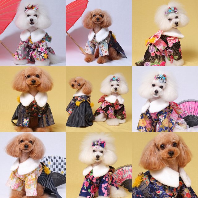 オーダー 犬の着物用ファー ハンドメイドマーケット Minne オーダー 犬の着物用ファー ハンドメイドマーケット Minne