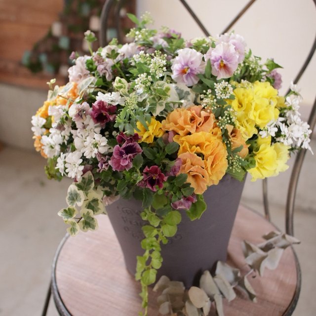 オレンジベージュのプリムラとイベリスの花束植え A Minne 日本最大級のハンドメイド 手作り通販サイト オレンジベージュのプリムラとイベリスの花束植え A Minne 日本最大級のハンドメイド 手作り通販サイト