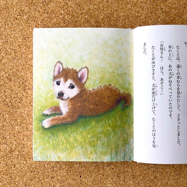 新刊 絵本 きみのなまえ 保護犬の命を守る 佼成出版社 ハンドメイドマーケット Minne