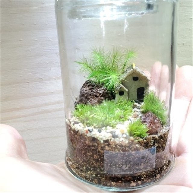苔テラリウム Small Moss World 小 家シリーズ Minne 日本最大級のハンドメイド 手作り通販サイト 苔テラリウム Small Moss World 小 家シリーズ Minne 日本最大級のハンドメイド 手作り通販サイト