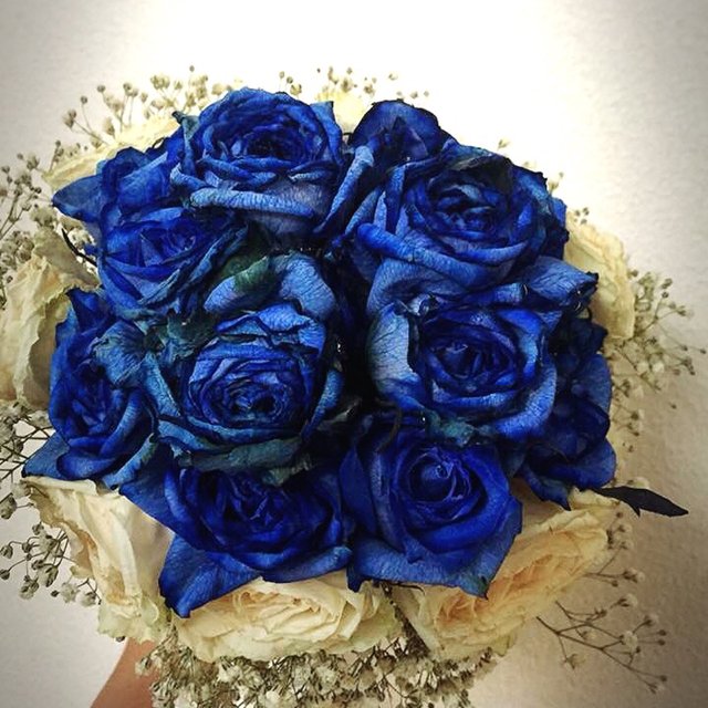 青薔薇シリーズ フープネックレス チョーカーサイズ フリー ハンドメイドマーケット Minne 青薔薇シリーズ フープネックレス チョーカーサイズ フリー ハンドメイドマーケット Minne