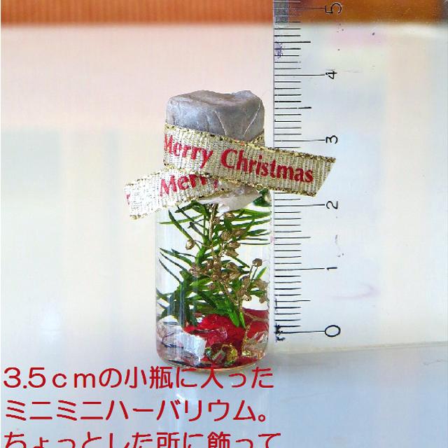 再販 ミニミニ３ ５cmのクリスマスハーバリウム 可愛いクリスマスカード付き ハンドメイドマーケット Minne