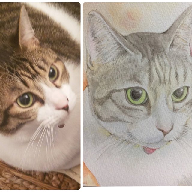 色紙にがおえネコちゃん リアルな水彩画うちの子似顔絵オーダーペット用 猫用 父の日母の日お誕生日プレゼントにもイラスト原画で 売上の一部は犬猫のための寄付に ハンドメイドマーケット Minne 色紙にがおえネコちゃん リアルな水彩画うちの子似顔絵オーダーペット用 猫用 父の日母の日お誕生日プレゼントにもイラスト原画で 売上の一部は犬猫のための寄付に ハンドメイドマーケット Minne