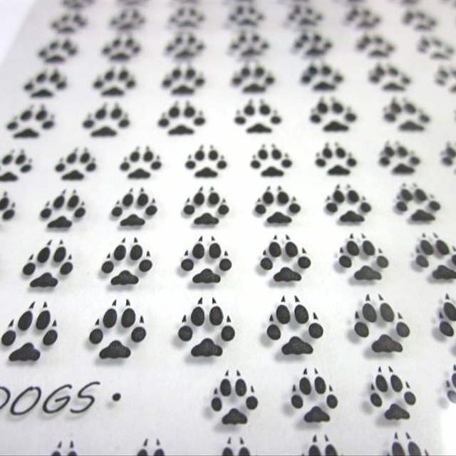 犬 オオカミの足跡たっぷり レジン封入用シート ハンドメイドマーケット Minne 犬 オオカミの足跡たっぷり レジン封入用シート ハンドメイドマーケット Minne