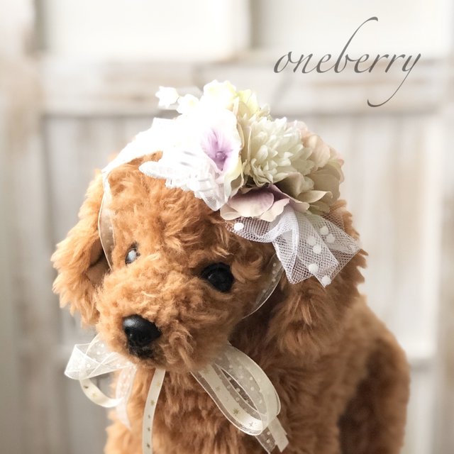犬用アクセサリー 白花チョーカー 写真撮影 トリミング 首飾り ヘッドアクセ ハンドメイドマーケット Minne 犬用アクセサリー 白花チョーカー 写真撮影 トリミング 首飾り ヘッドアクセ ハンドメイドマーケット Minne
