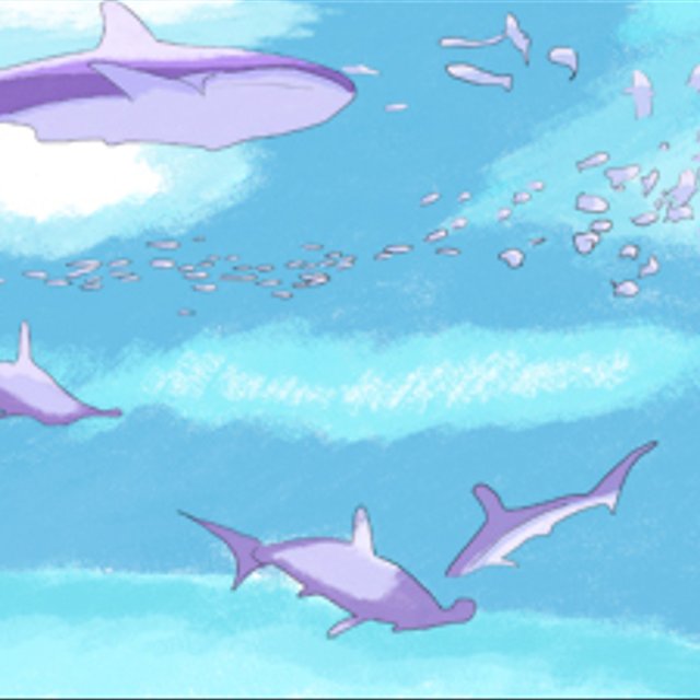 海サメ絵 手描き イラスト デザイン素材 インテリア飾り Minne 日本最大級のハンドメイド 手作り通販サイト