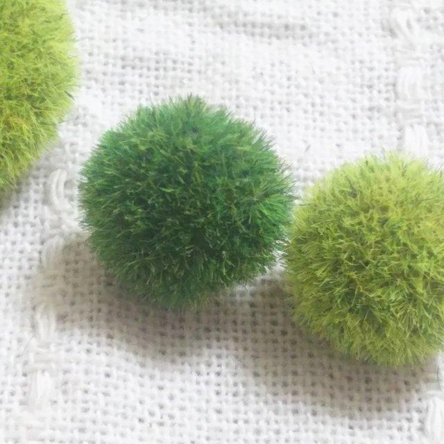 芝生ピアス まりも Minne 日本最大級のハンドメイド 手作り通販サイト 芝生ピアス まりも Minne 日本最大級のハンドメイド 手作り通販サイト