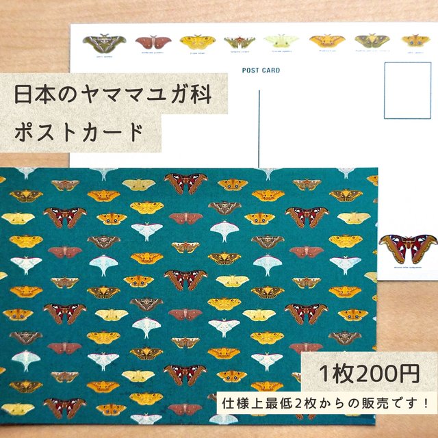 日本のヤママユガ科 蛾のポストカード ハンドメイドマーケット Minne 日本のヤママユガ科 蛾のポストカード ハンドメイドマーケット Minne