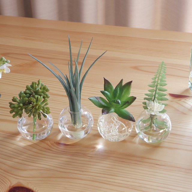 水まるで本物 ミニ多肉植物オールフェイク グリーン4個セット ハンドメイドマーケット Minne 水まるで本物 ミニ多肉植物オールフェイク グリーン4個セット ハンドメイドマーケット Minne