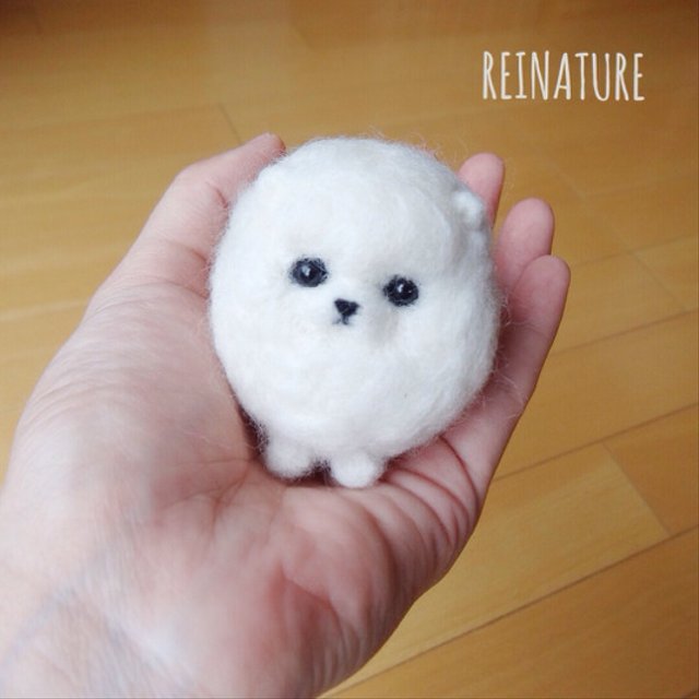 ティーカップポメラニアンの値段はいくら 寿命や成犬の大きさは もふもふのしっぽ