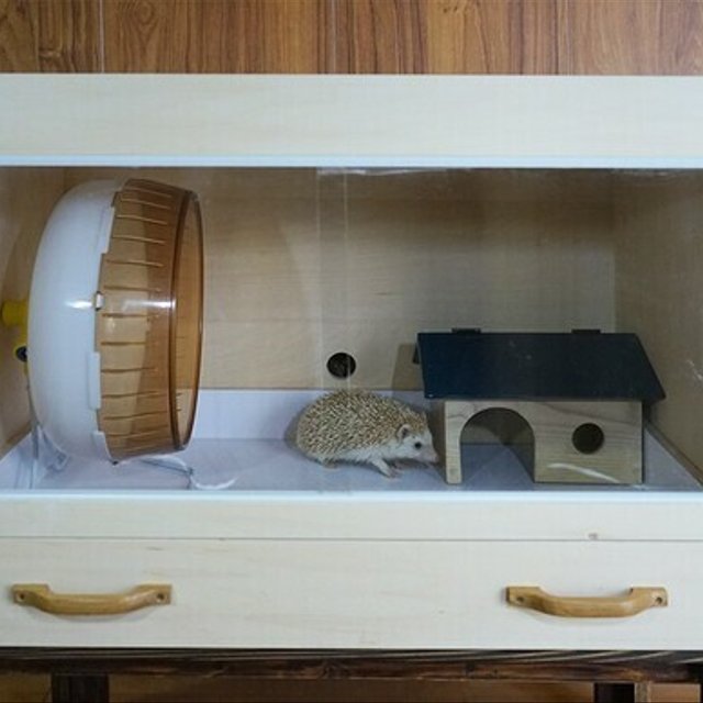 引出し式ケージ70cm 爬虫類 ハリネズミなどの小動物に Minne 日本最大級のハンドメイド 手作り通販サイト 引出し式ケージ70cm 爬虫類 ハリネズミなどの小動物に Minne 日本最大級のハンドメイド 手作り通販サイト