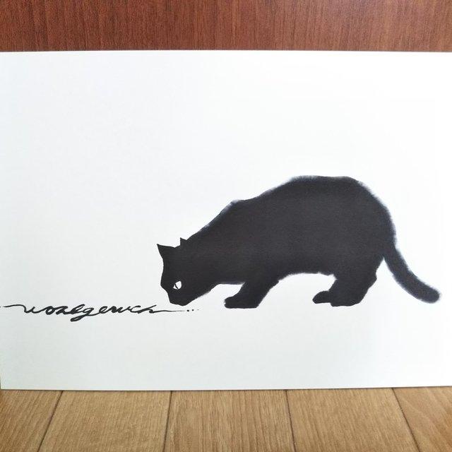 猫 イラスト 黒