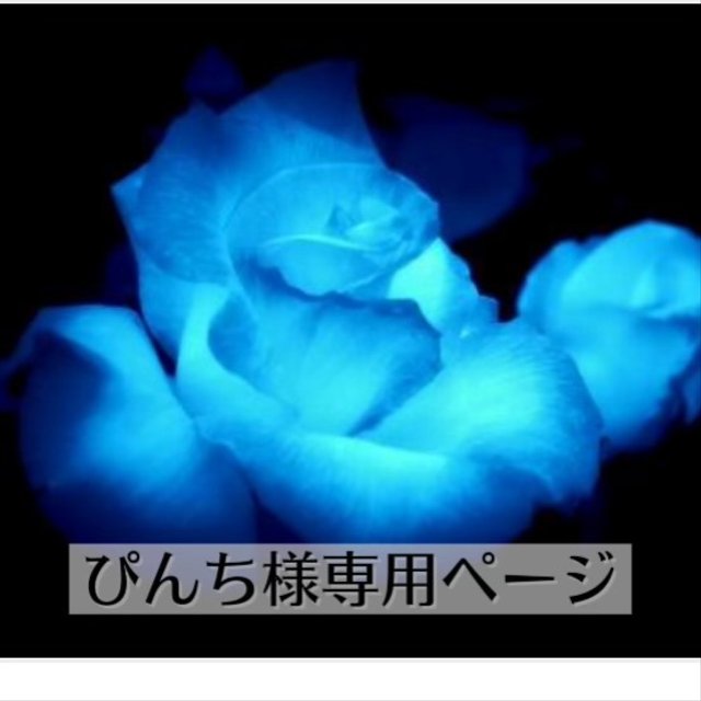 7130円 超定番 Blue Rose様専用ページ