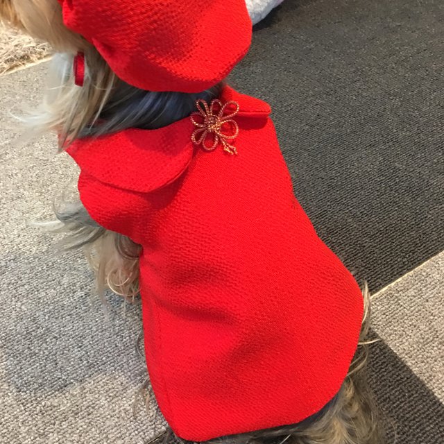 犬服 還暦お祝い ちゃんちゃんこ Minne 日本最大級のハンドメイド 手作り通販サイト 犬服 還暦お祝い ちゃんちゃんこ Minne 日本最大級のハンドメイド 手作り通販サイト