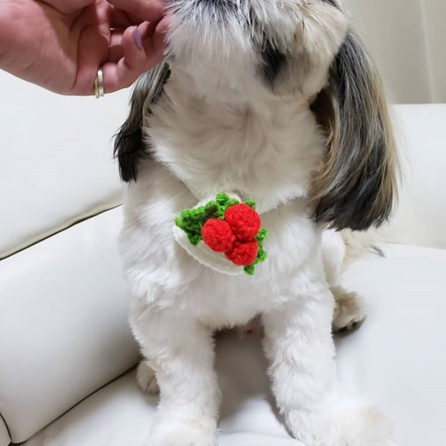 犬用クリスマスベルチョーカー ハンドメイドマーケット Minne 犬用クリスマスベルチョーカー ハンドメイドマーケット Minne