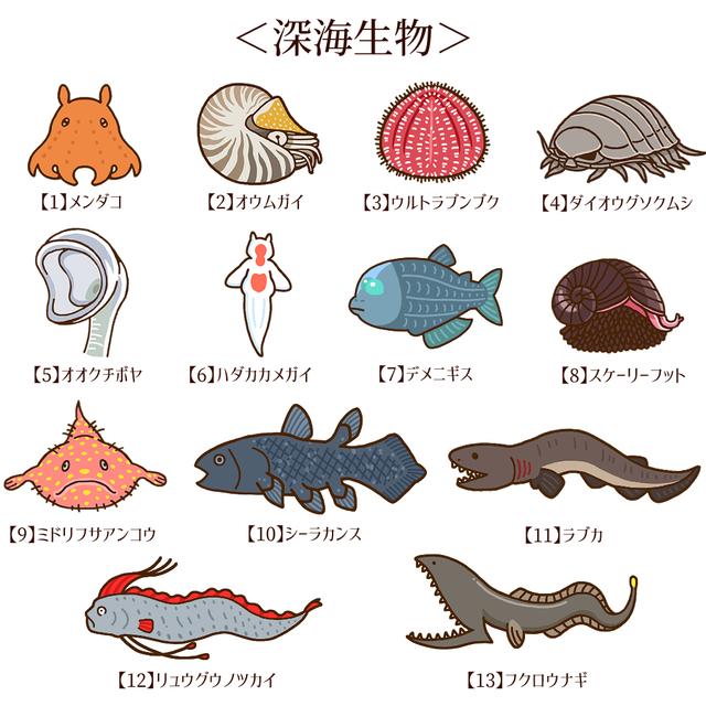 選べる2枚セット 深海生物たちのステッカー Minne 日本最大級のハンドメイド 手作り通販サイト