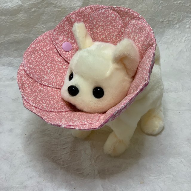 受注製作】花型エリザベスカラー 犬猫用 minne 日本最大級の