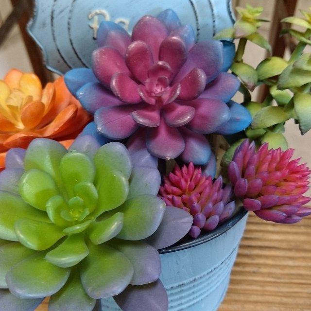 多肉植物 オレンジ ハンドメイドマーケット Minne 多肉植物 オレンジ ハンドメイドマーケット Minne