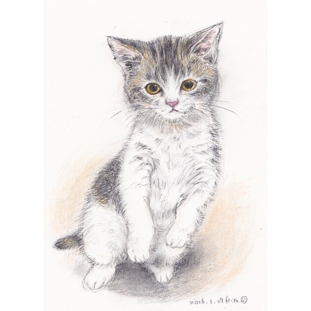 オリジナル猫イラスト ポストカード 絵葉書 リアル目2 3枚組 セット ハンドメイドマーケット Minne