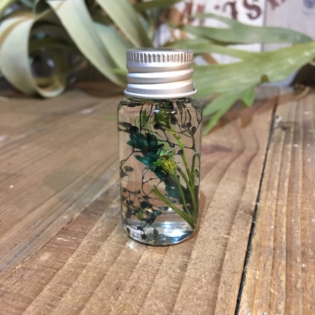 ミニハーバリウム 水嵩 ハンドメイドマーケット Minne ミニハーバリウム 水嵩 ハンドメイドマーケット Minne
