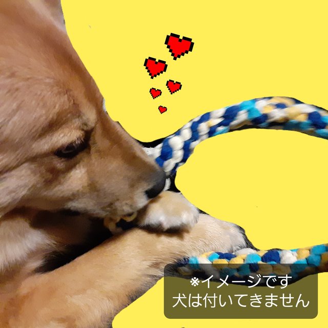 送料無料 犬のおもちゃ カミカミ棒 大型犬 ハンドメイドマーケット Minne 送料無料 犬のおもちゃ カミカミ棒 大型犬 ハンドメイドマーケット Minne
