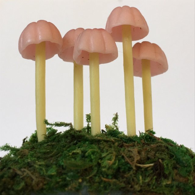 粘土のきのこ ピンクのきのこ Minne 日本最大級のハンドメイド 手作り通販サイト 粘土のきのこ ピンクのきのこ Minne 日本最大級のハンドメイド 手作り通販サイト