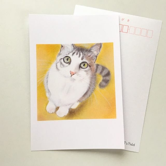 １５３ポストカード　見上げる猫　6枚セット