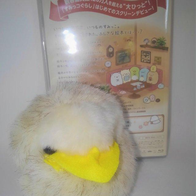受注生産 ガマグチヨタカのぬいぐるみ ハンドメイドマーケット Minne 受注生産 ガマグチヨタカのぬいぐるみ ハンドメイドマーケット Minne