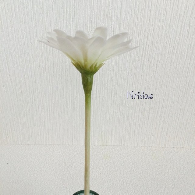お家に飾りたくなる花 枯れないお手入れ不要な花 ハンドメイドマーケット Minne お家に飾りたくなる花 枯れないお手入れ不要な花 ハンドメイドマーケット Minne