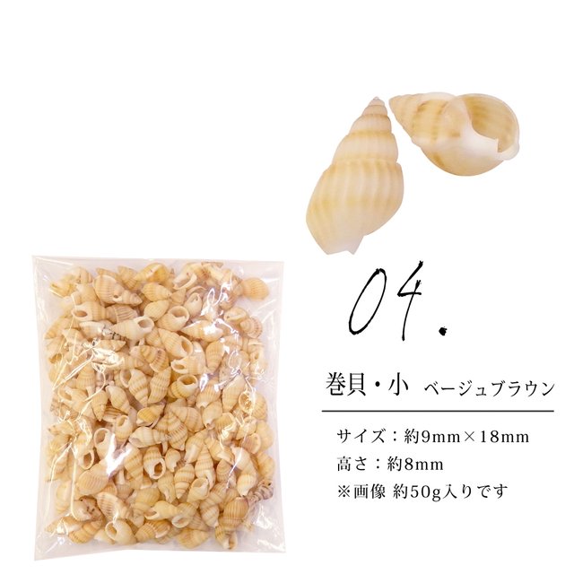 04 巻貝 小 ベージュブラウン 約50g 夏に可愛い 貝殻 シェル ハンドメイドやディスプレイに レジン アクセサリー 巻貝 二枚貝 Minne 日本最大級のハンドメイド 手作り通販サイト 04 巻貝 小 ベージュブラウン 約50g 夏に可愛い 貝殻 シェル ハンドメイドやディスプレイに レジン アクセサリー 巻貝 二枚貝 Minne 日本最大級のハンドメイド 手作り通販サイト