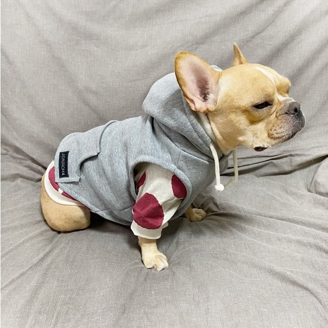 スウェットパーカー 犬服 犬服ハンドメイド 小型犬服 フレブル服 フレンチブルドッグ服 パグ服 裏毛 袖ありオーダー可 Minne 日本最大級のハンドメイド 手作り通販サイト スウェットパーカー 犬服 犬服ハンドメイド 小型犬服 フレブル服 フレンチブルドッグ服 パグ服 裏毛 袖ありオーダー可 Minne 日本最大級のハンドメイド 手作り通販サイト