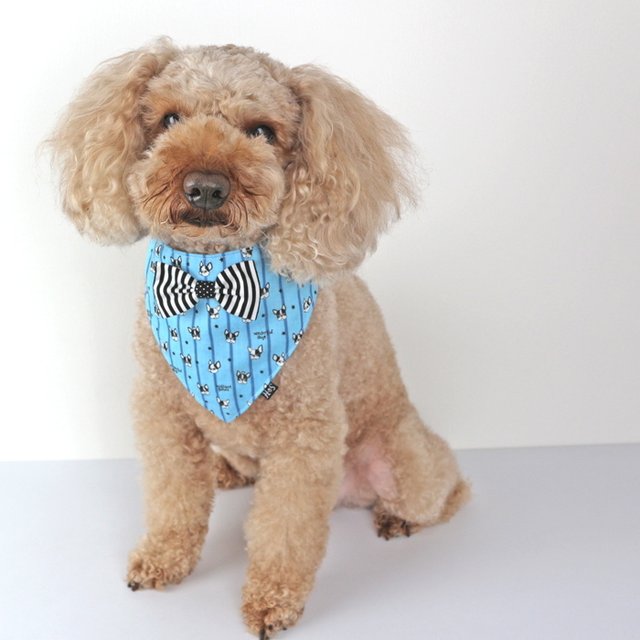 クールバンダナ フレブルストライプ柄 保冷材1個付き 犬 猫 ペット 夏 リボン スタイ 首 冷やす 熱中症 Minne 日本最大級のハンドメイド 手作り通販サイト クールバンダナ フレブルストライプ柄 保冷材1個付き 犬 猫 ペット 夏 リボン スタイ 首 冷やす 熱中症 Minne 日本最大級のハンドメイド 手作り通販サイト