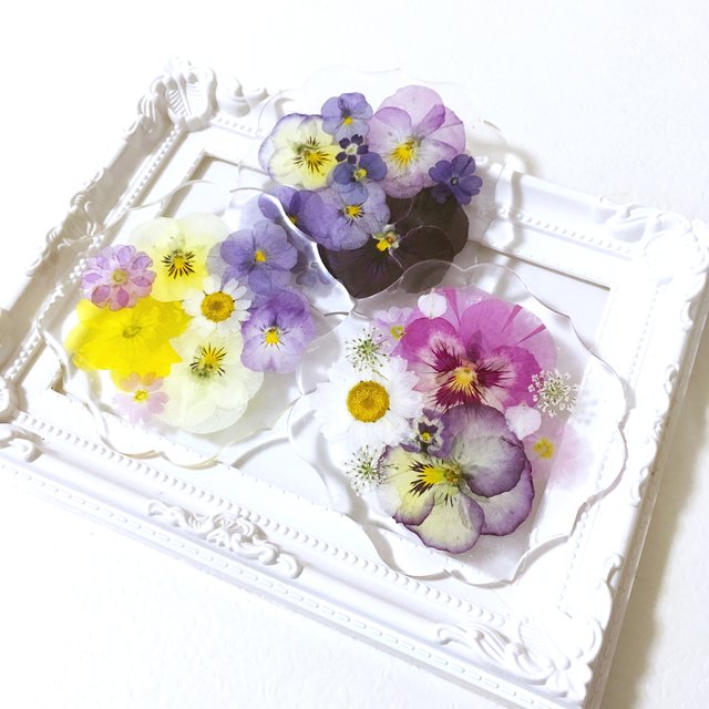 押し花コースター Minne 日本最大級のハンドメイド 手作り通販サイト 押し花コースター Minne 日本最大級のハンドメイド 手作り通販サイト