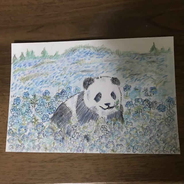 No 27 パンダとネモフィラ 花言葉 どこでも成功 お花イラスト Minne 日本最大級のハンドメイド 手作り通販サイト No 27 パンダとネモフィラ 花言葉 どこでも成功 お花イラスト Minne 日本最大級のハンドメイド 手作り通販サイト