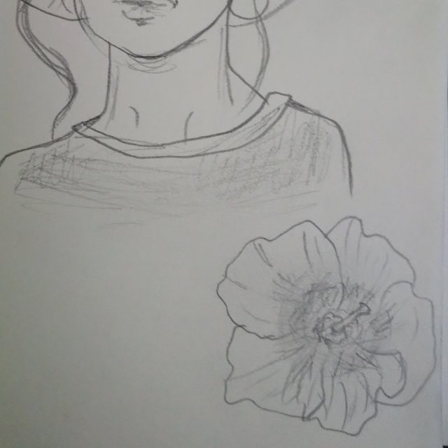 ポストカード 印刷 イラスト 鉛筆画 クロッキー ハンドメイドマーケット Minne ポストカード 印刷 イラスト 鉛筆画 クロッキー ハンドメイドマーケット Minne