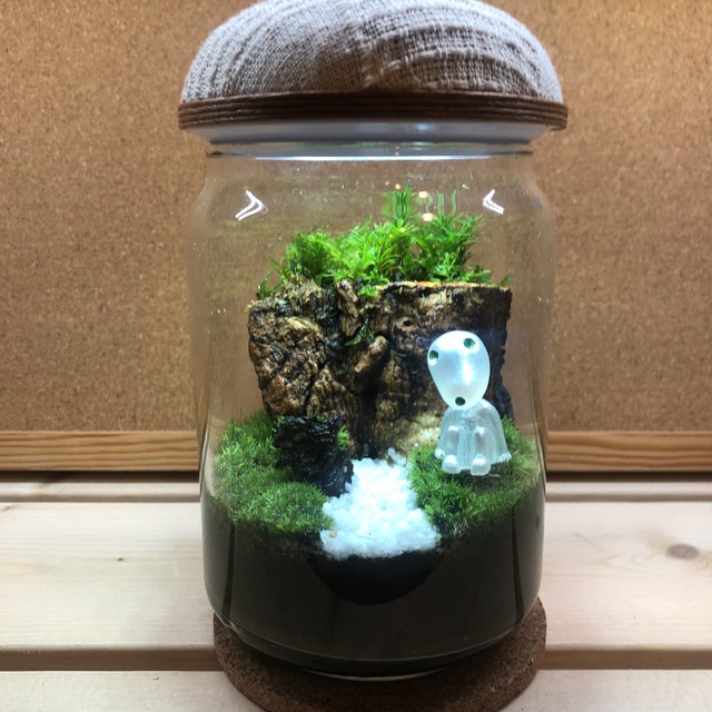 苔テラリウム ハンドメイド Ledライト付き Minne 日本最大級のハンドメイド 手作り通販サイト 苔テラリウム ハンドメイド Ledライト付き Minne 日本最大級のハンドメイド 手作り通販サイト