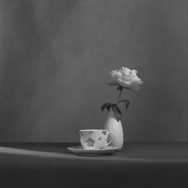 ティーカップとボタン アートポスター 写真 2l カラー 白黒 アートプリント 縦長 自然 花 フラワー ピンク 花瓶 ハンドメイドマーケット Minne