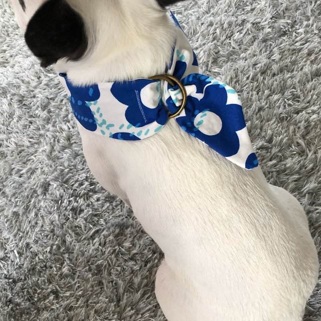 クールネック 保冷剤付き 犬 フレンチブルドッグ パグ ボストンテリア ペット ハンドメイドマーケット Minne クールネック 保冷剤付き 犬 フレンチブルドッグ パグ ボストンテリア ペット ハンドメイドマーケット Minne