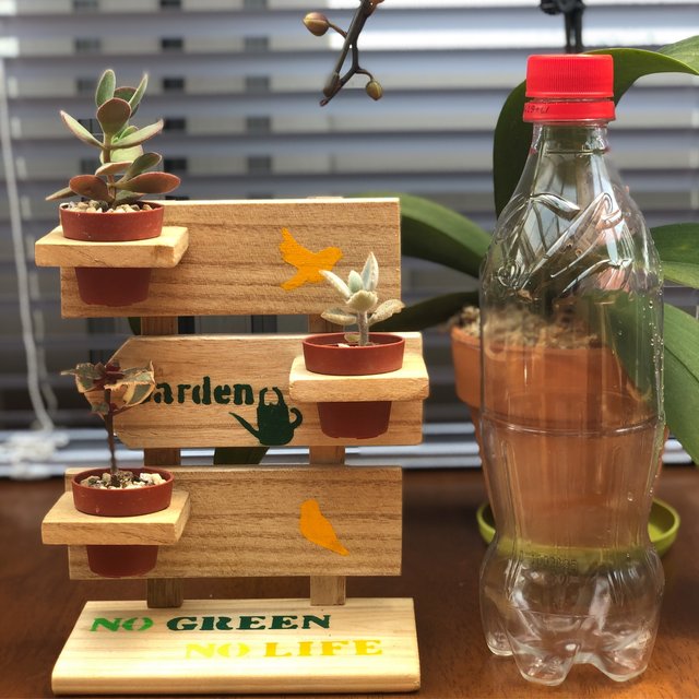 1号鉢専用 多肉植物スタンド Minne 日本最大級のハンドメイド 手作り通販サイト 1号鉢専用 多肉植物スタンド Minne 日本最大級のハンドメイド 手作り通販サイト